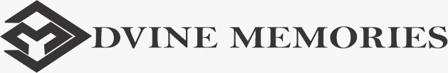 Dvine Memories Logo